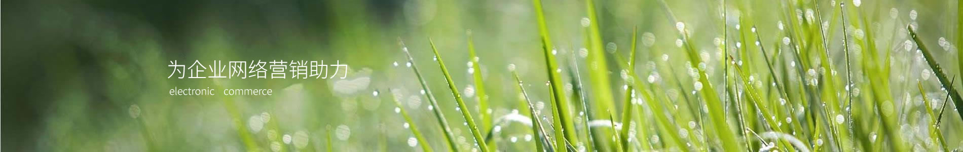 屦޹˾
